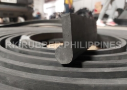 p-type rubber gate seal